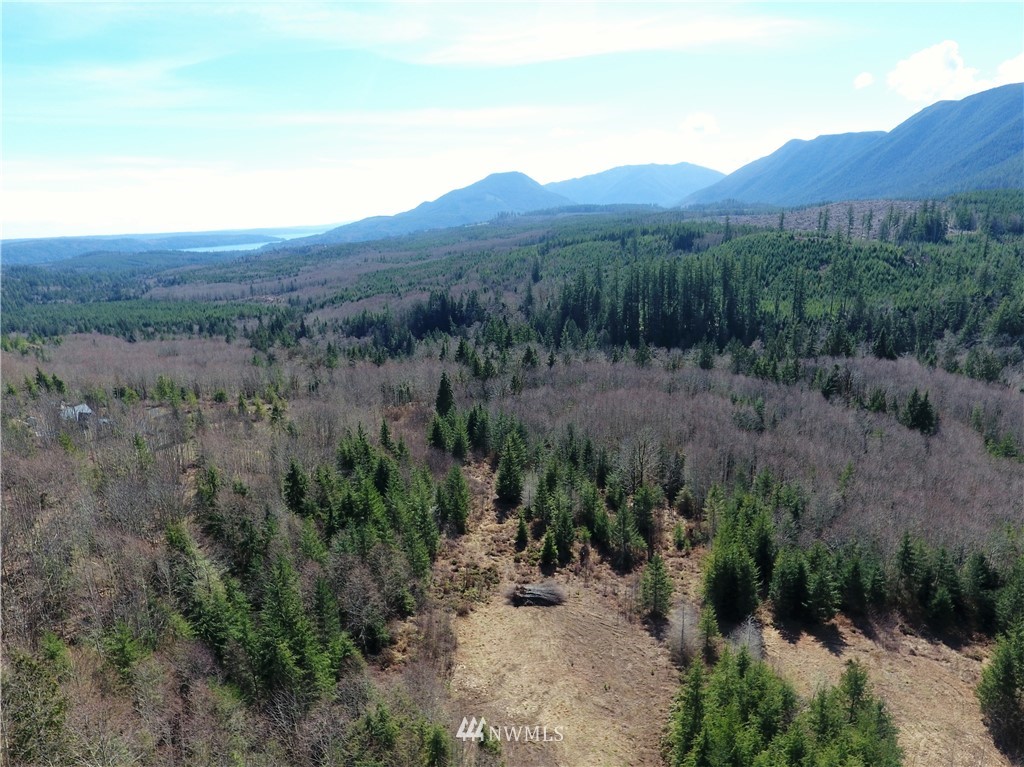 999 Lords Lake Loop Road Quilcene, WA 98376 - Photo 10 of 14