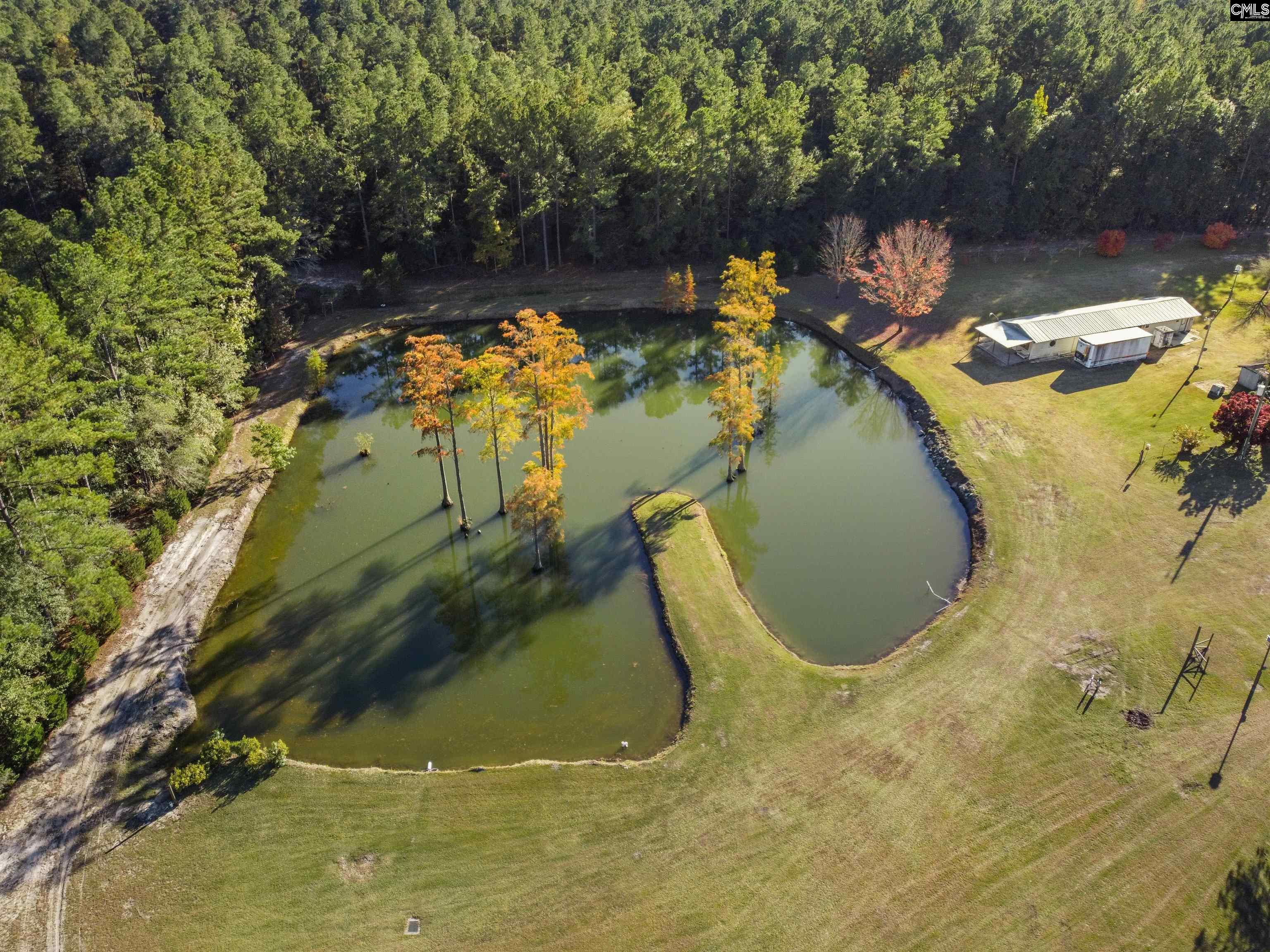 646 Briar Creek Road Branchville, SC 29432 - Photo 13 of 50