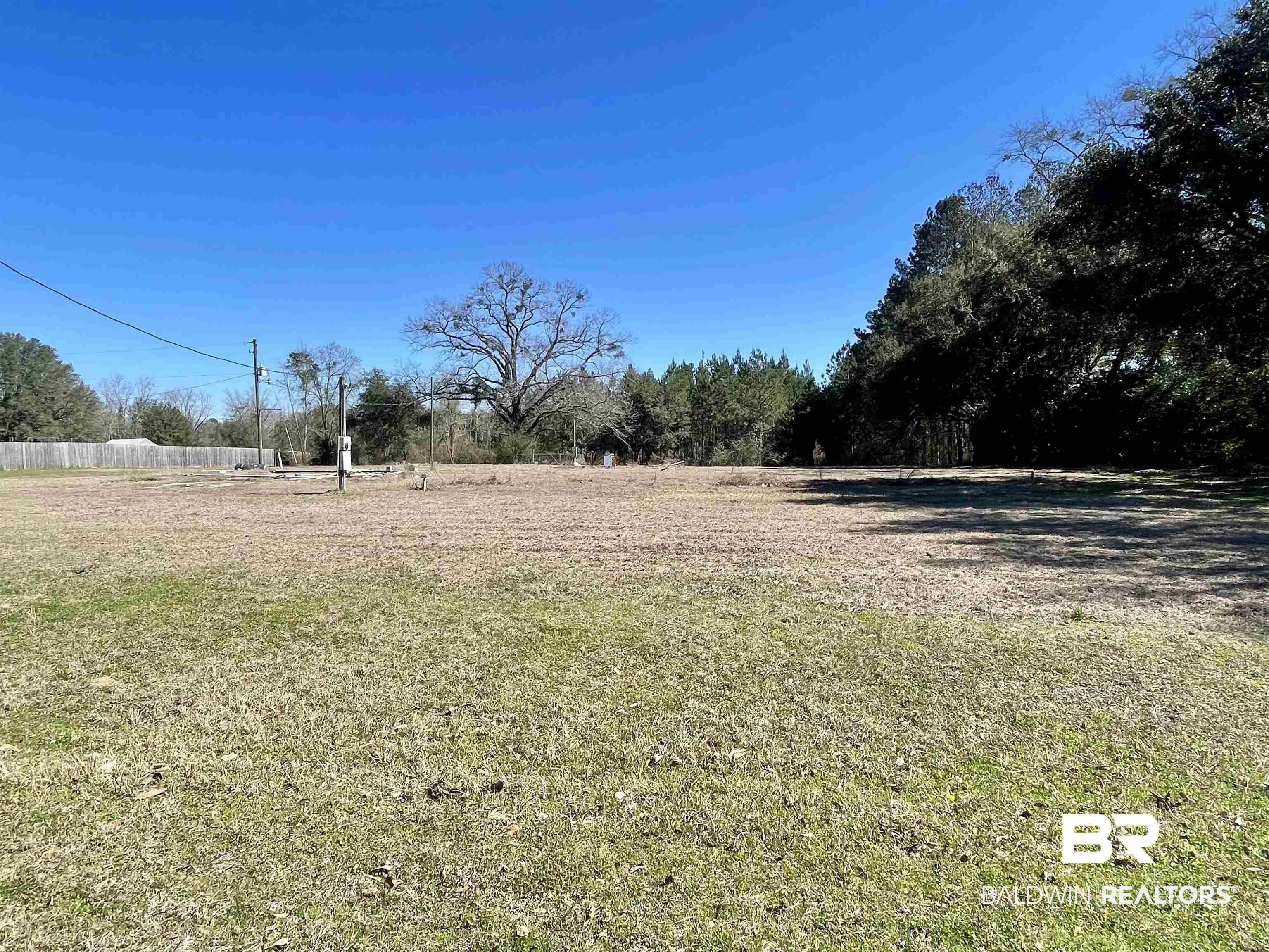 3520 Old Howells Ferry Road Wilmer, AL 36587 - Photo 4 of 7