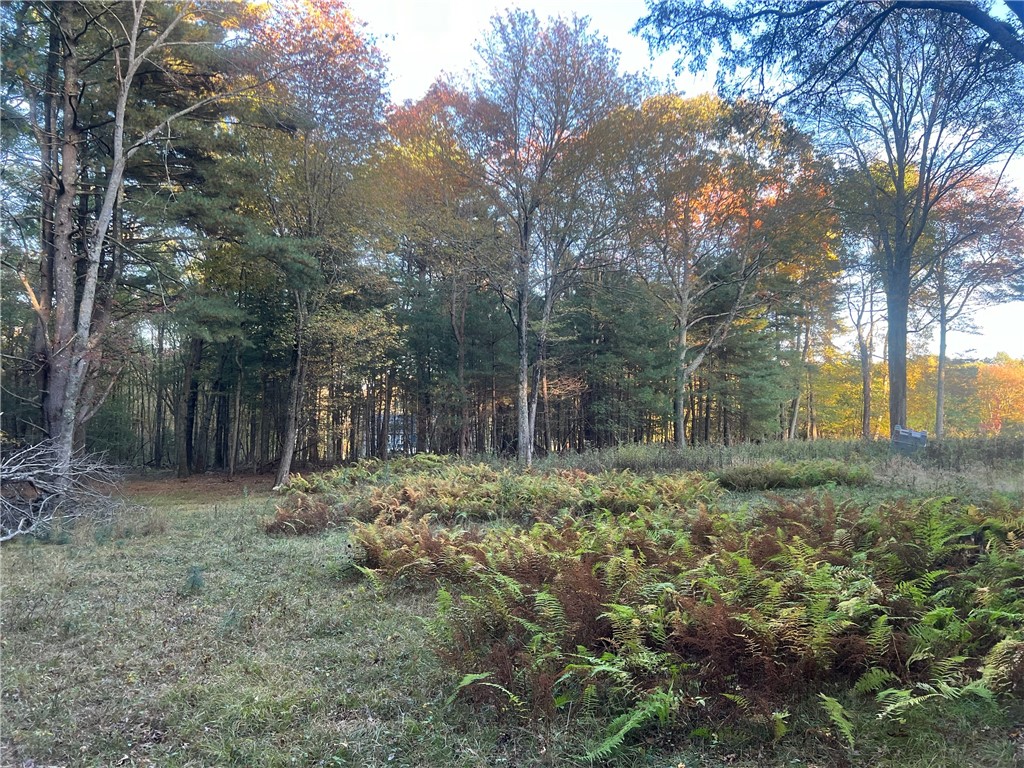23 Burgess Road Foster, RI 02825 - Photo 33 of 33