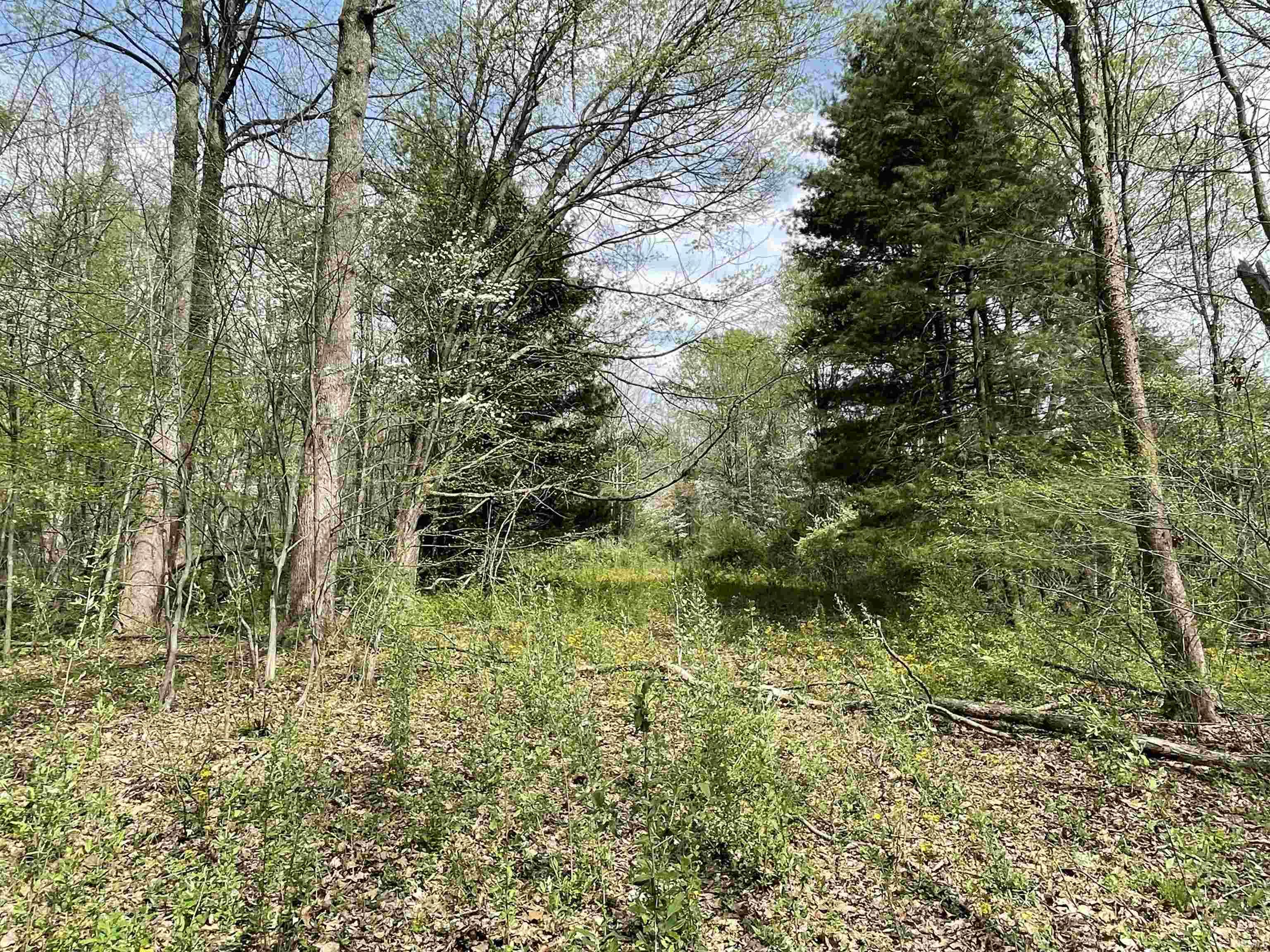 6336 Rattlesnake Road Spencer, IN 47460 - Photo 8 of 11