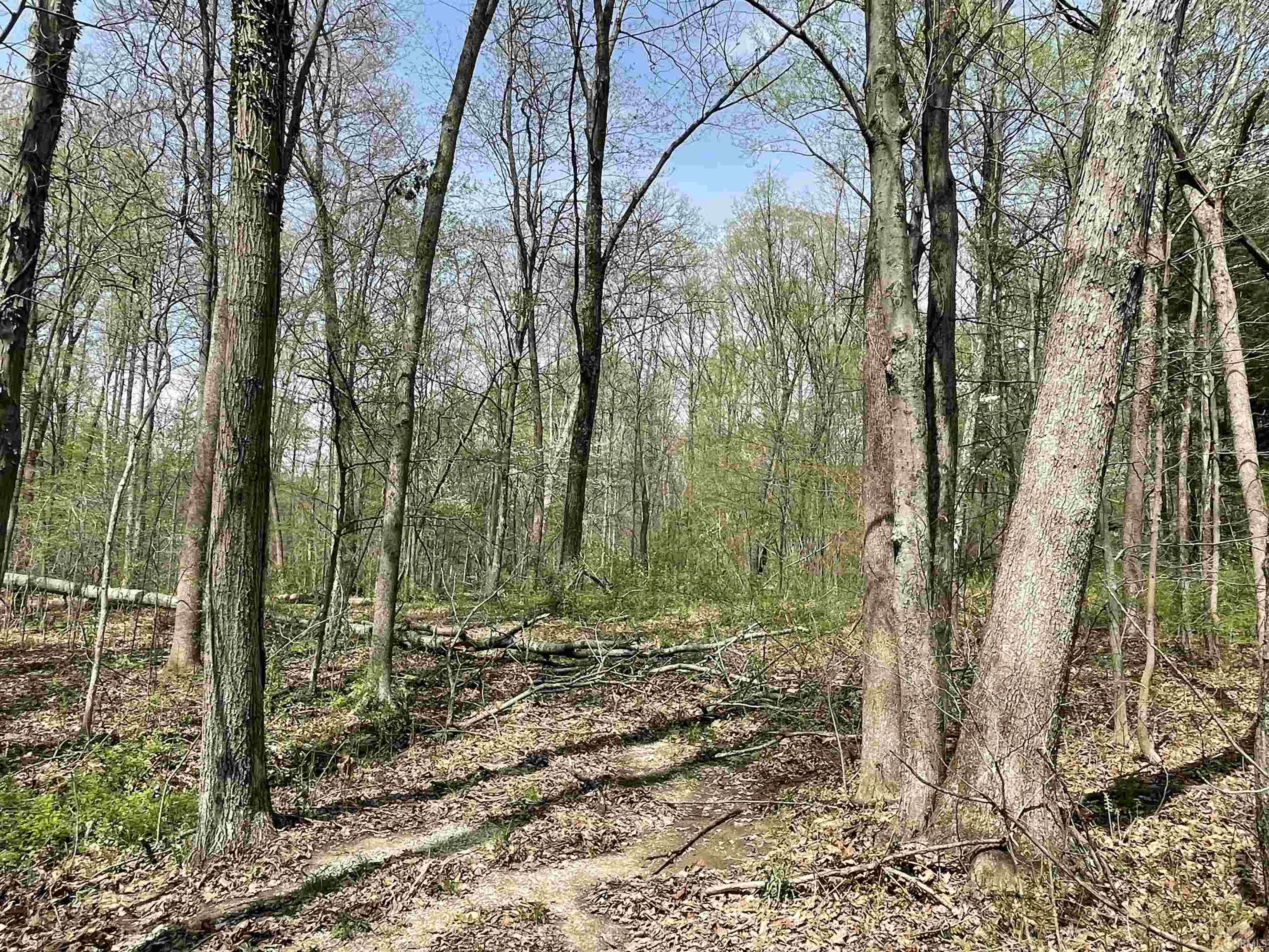 6336 Rattlesnake Road Spencer, IN 47460 - Photo 10 of 11