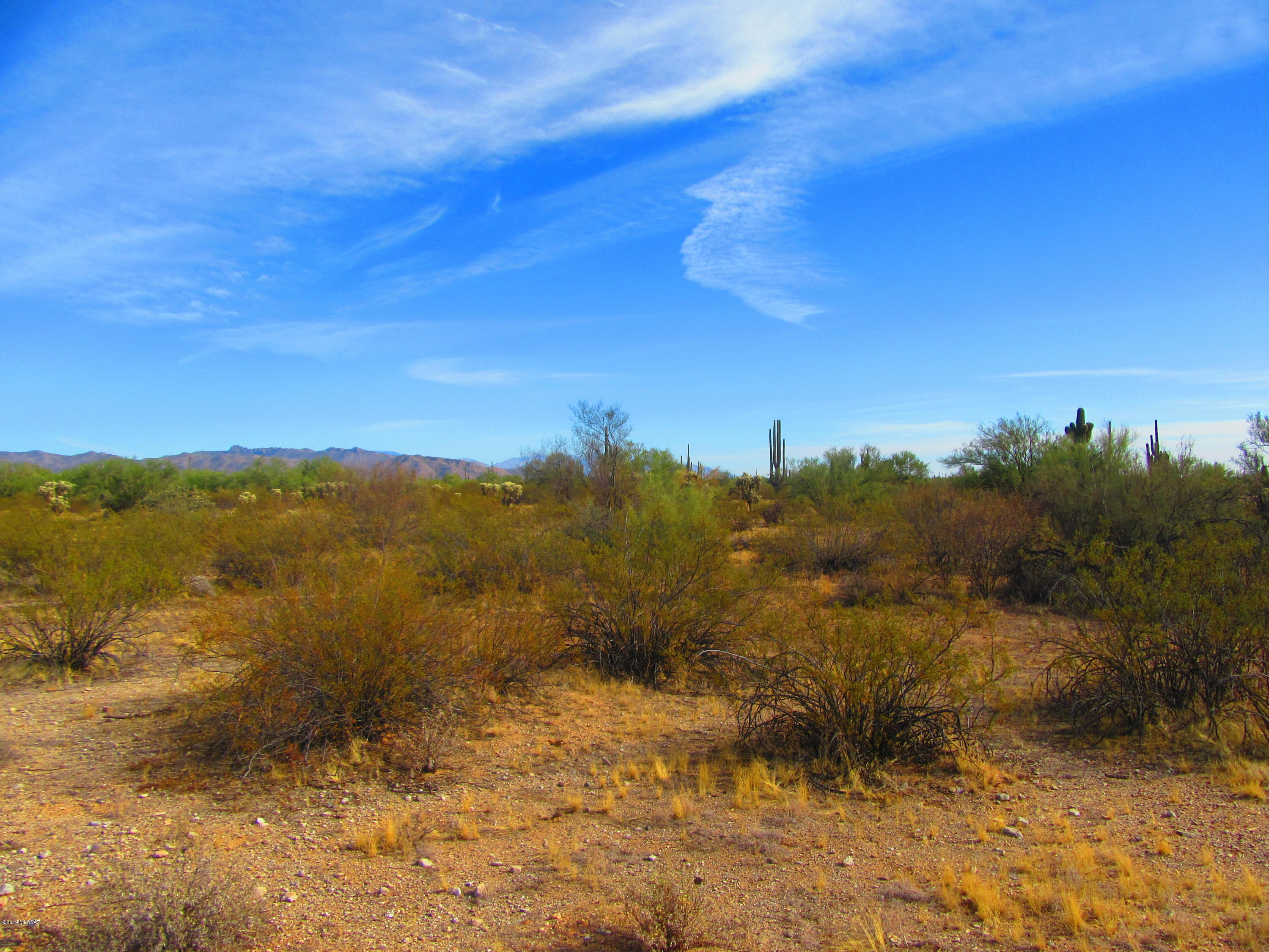 Cattle Tank, Unit 20AC Marana, AZ 85658 - Photo 14 of 17