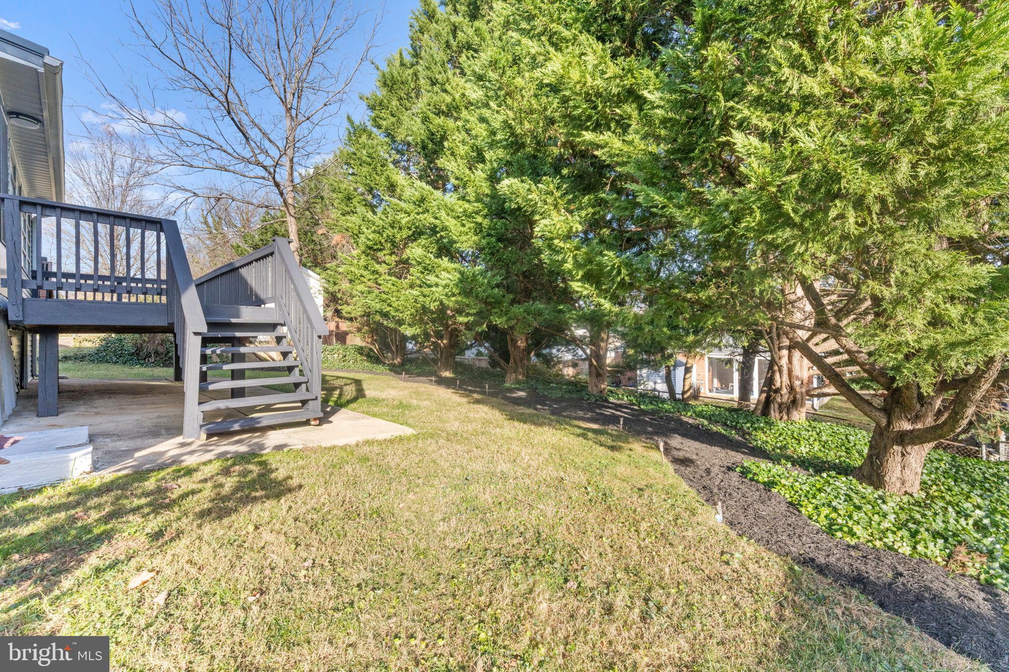 11013 Amherst Avenue Silver Spring, MD 20902 - Photo 45 of 74 a view of a house with a small yard and wooden fence