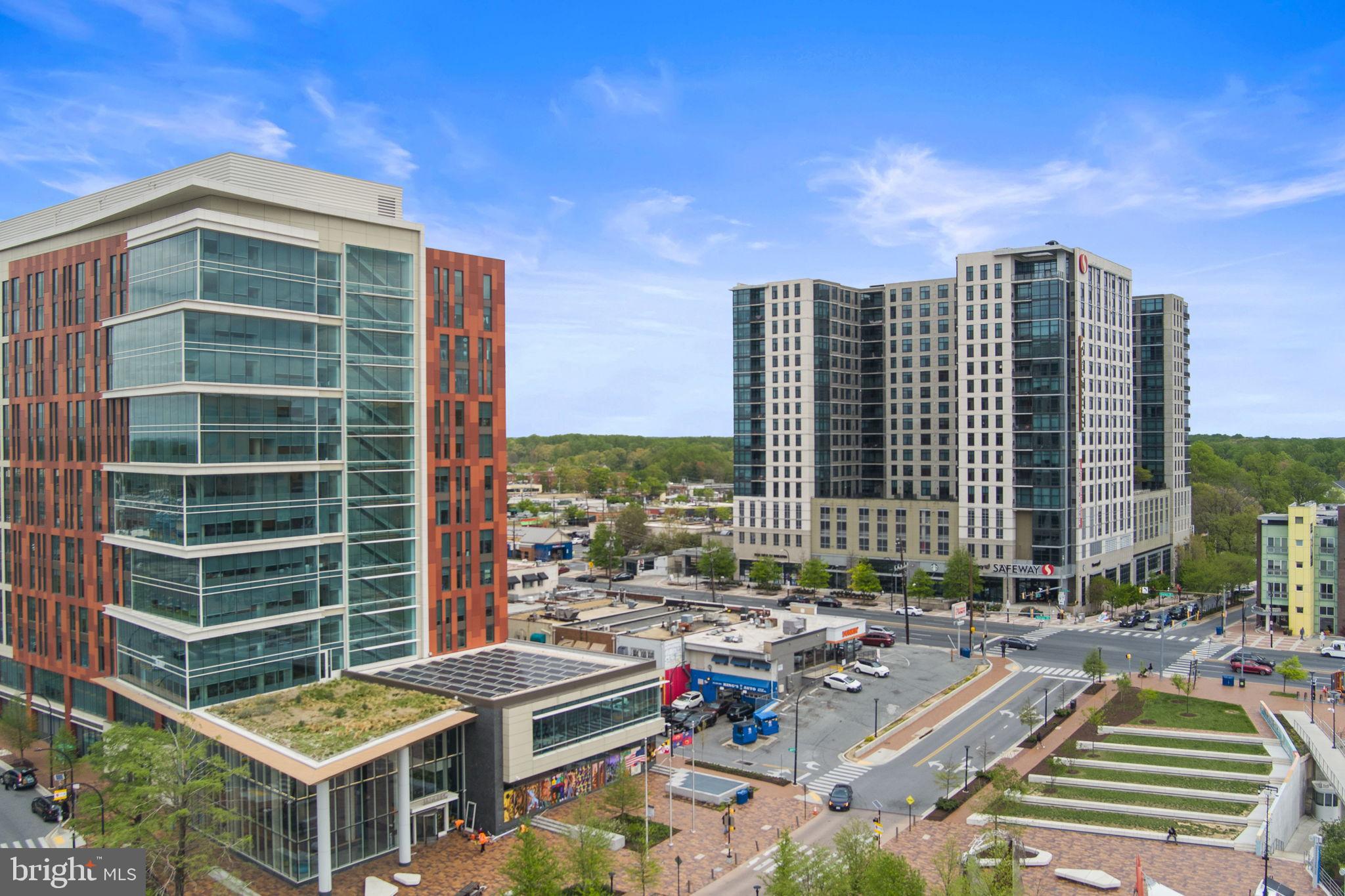 11013 Amherst Avenue Silver Spring, MD 20902 - Photo 72 of 74 a view of roof deck with lounge chair and a potted plant