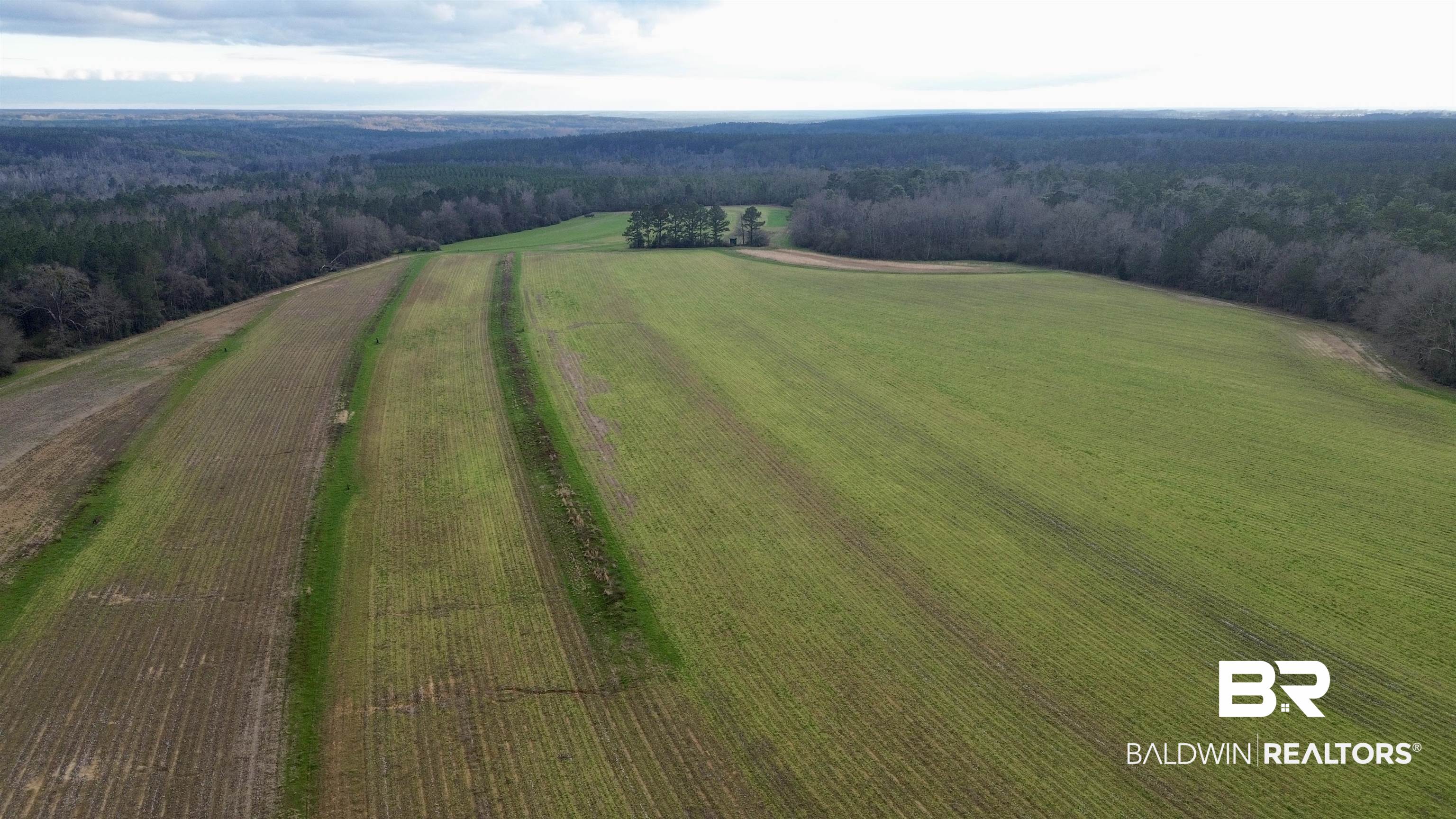 0 James Brooks Road Atmore, AL 36502 - Photo 14 of 16 Birds eye view of property with a rural view