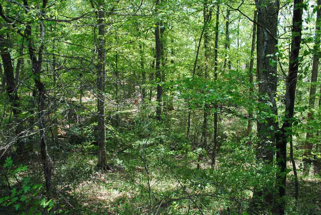 120 Grand Oak Circle Pendleton, SC 29670 - Photo 27 of 29 Gallery Image 27