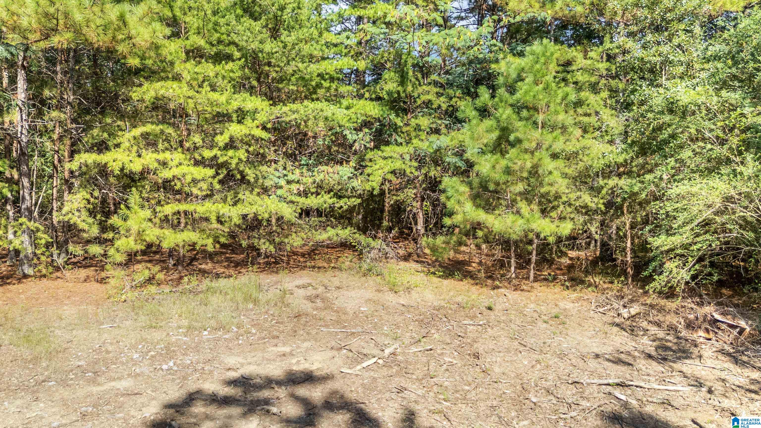 4339 Pine Ridge Road, Unit 1 Mount Olive, AL 35117 - Photo 28 of 34