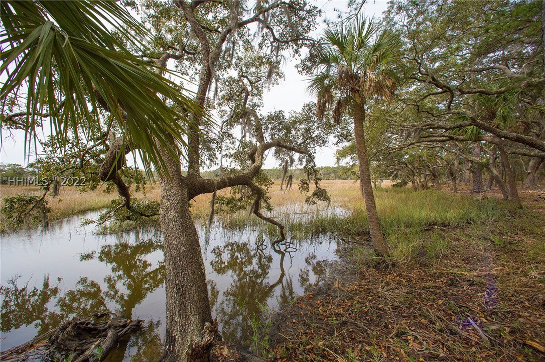 9 Wintercress Road Bluffton, SC 29910 - Photo 1 of 1 Gallery Image 1
