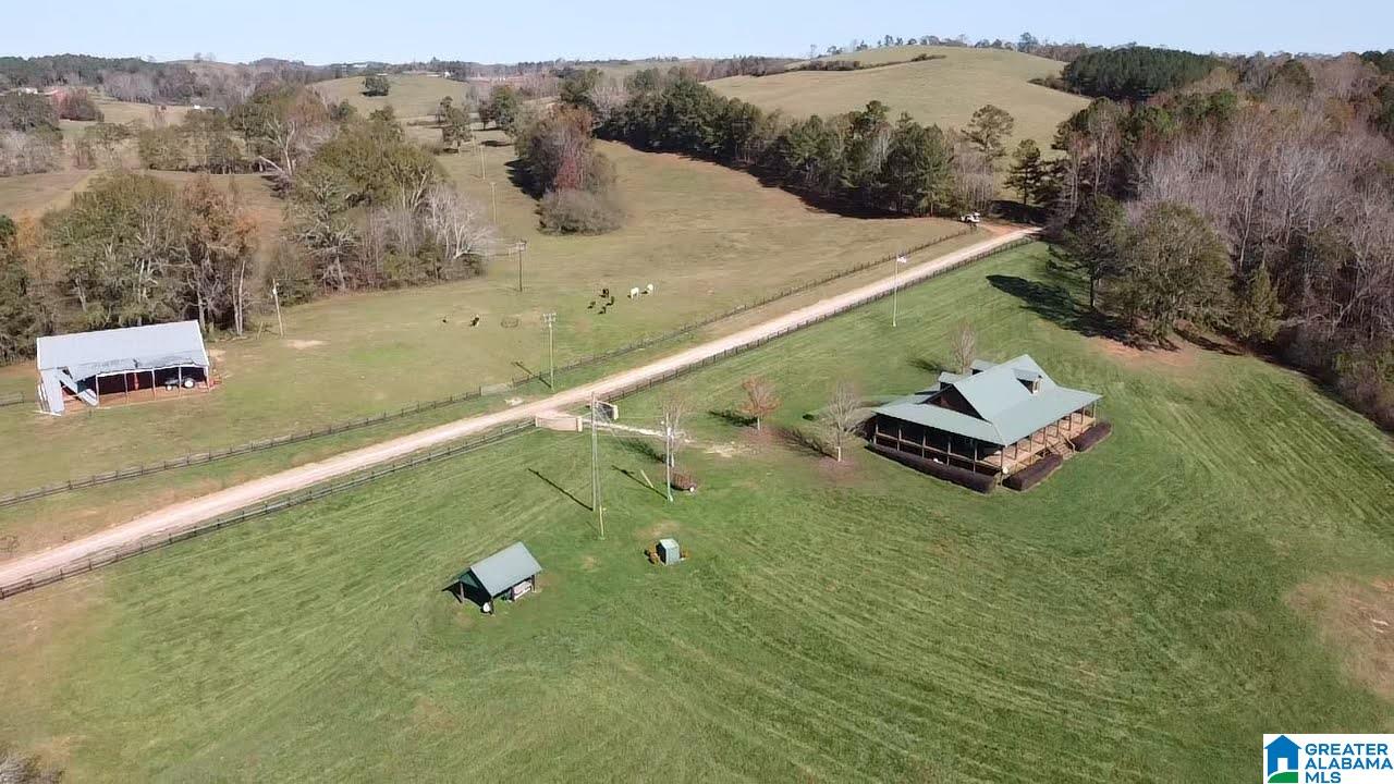 334 Isbell Road Delta, AL 36258 - Photo 24 of 37