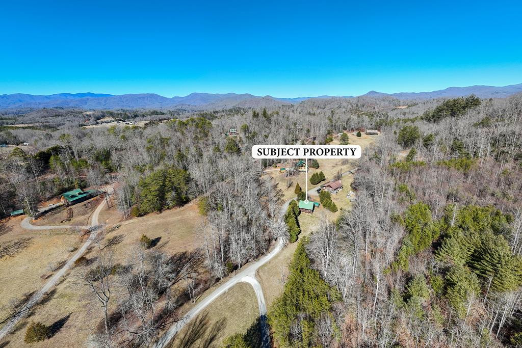 322 Hickory Br Road Whittier, NC 28789 - Photo 44 of 50