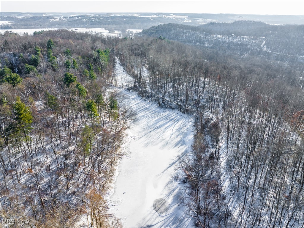 138 Township Road Coshocton, OH 43812 - Photo 37 of 47 Aerial view of property and surrounding area with a forest