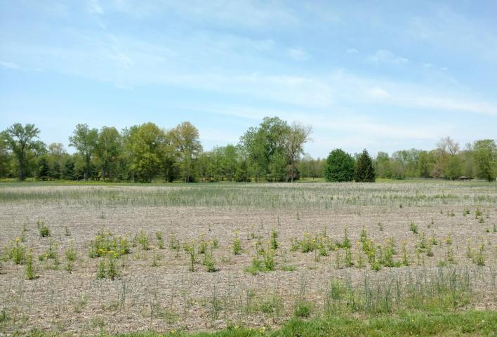 0 Gale Road Southwest, Unit LOT 5 Hebron, OH 43025 - Photo 7 of 11