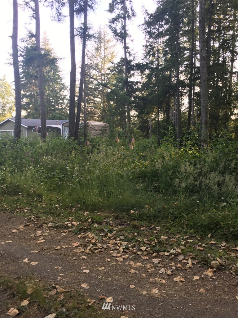 9259 Southeast Olalla Valley Road Port Orchard, WA 98367 - Photo 11 of 15 Gallery Image 11