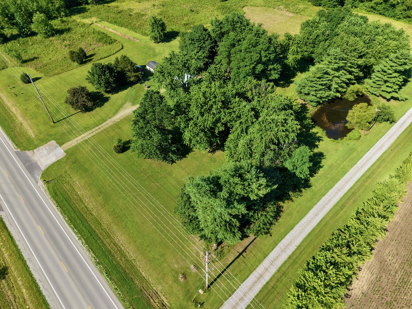 9857 Highway 45 Flora, IL 62839 - Photo 9 of 49