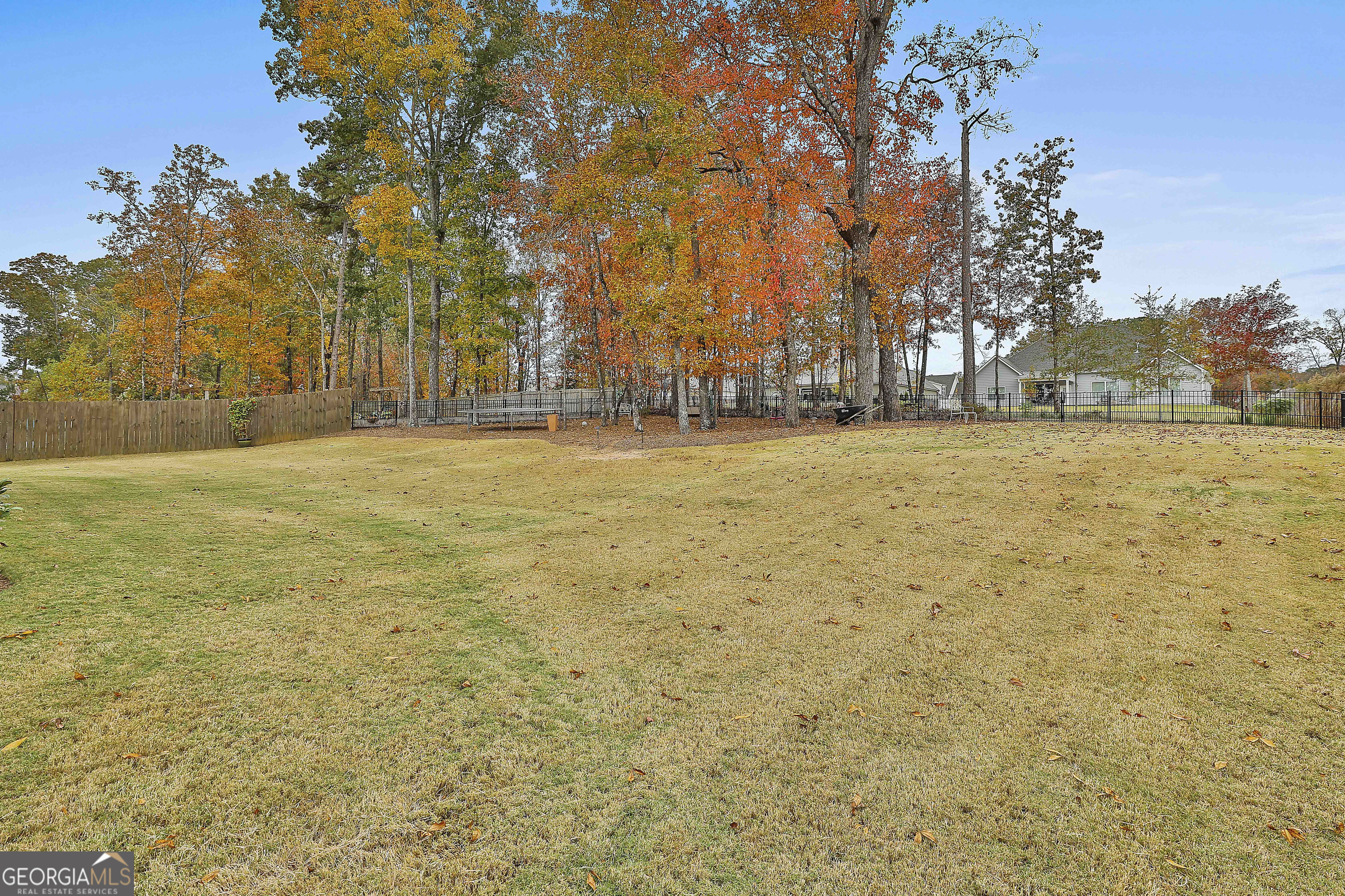 155 Wet Stone Road Senoia, GA 30276 - Photo 46 of 46 a view of yard with trees