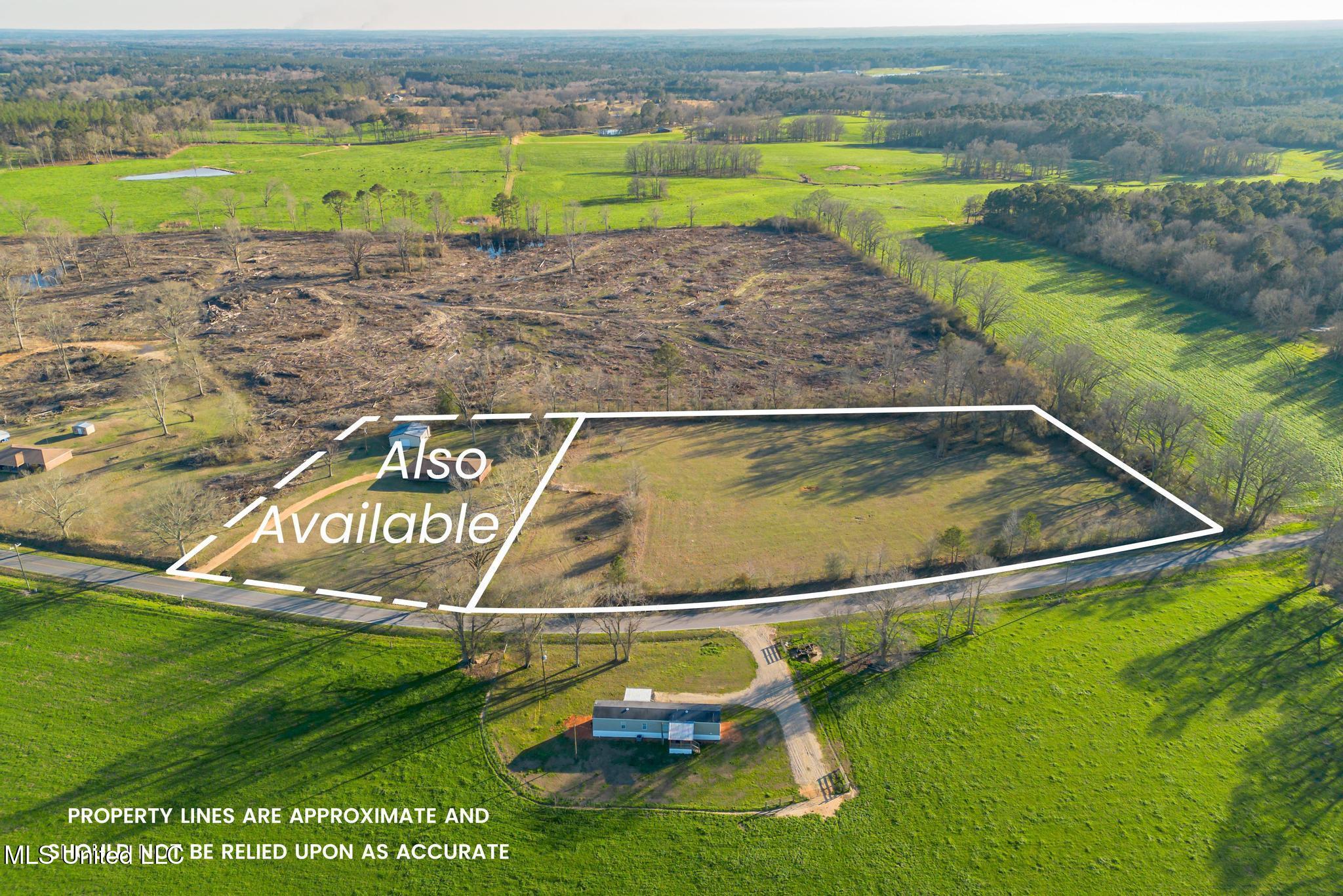 Seminary Mike Conner Road Collins, MS 39428 - Photo 11 of 11 1010 Seminary Mike Conner Road Land-11