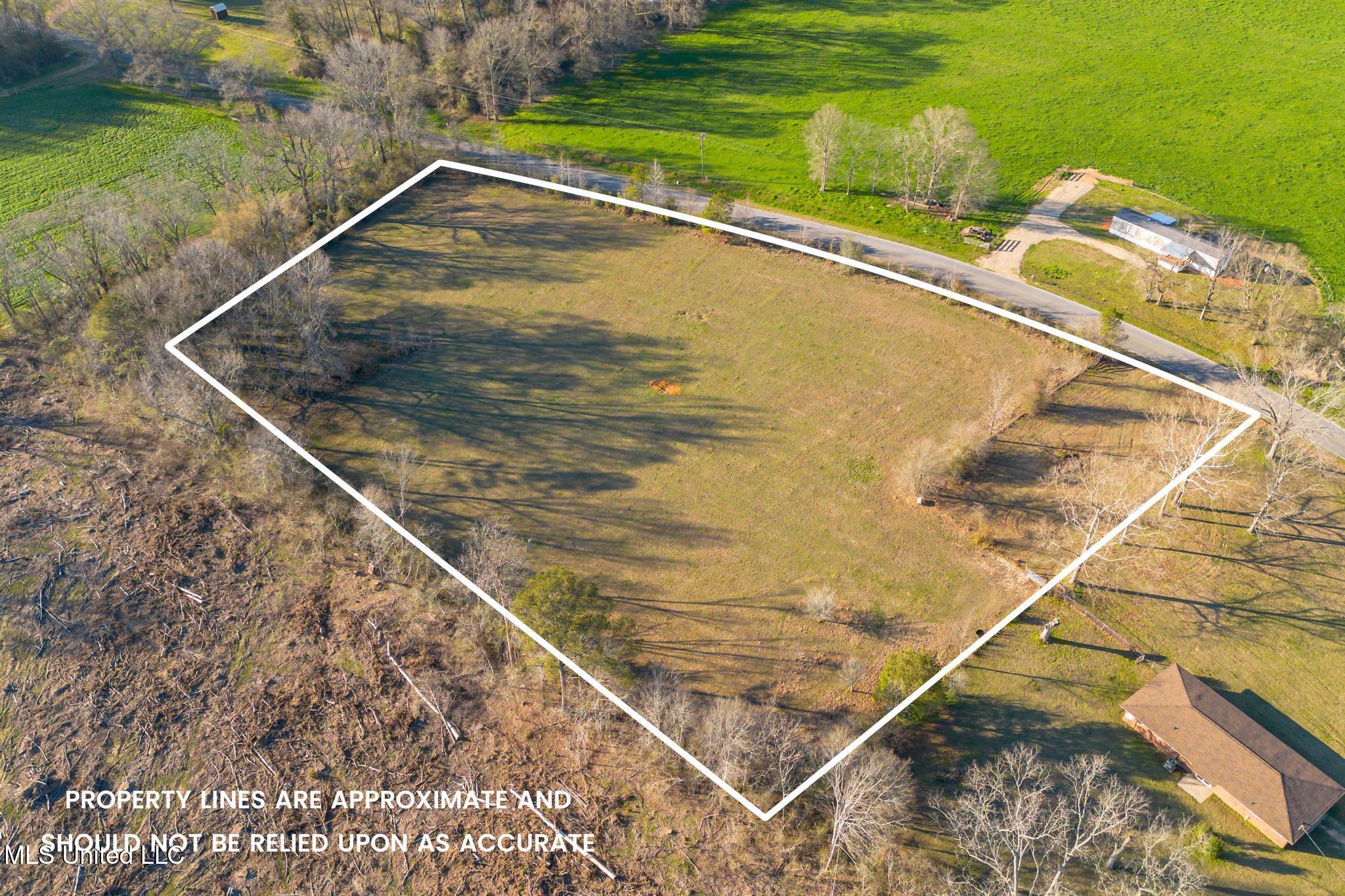Seminary Mike Conner Road Collins, MS 39428 - Photo 5 of 11 1010 Seminary Mike Conner Road Land-5