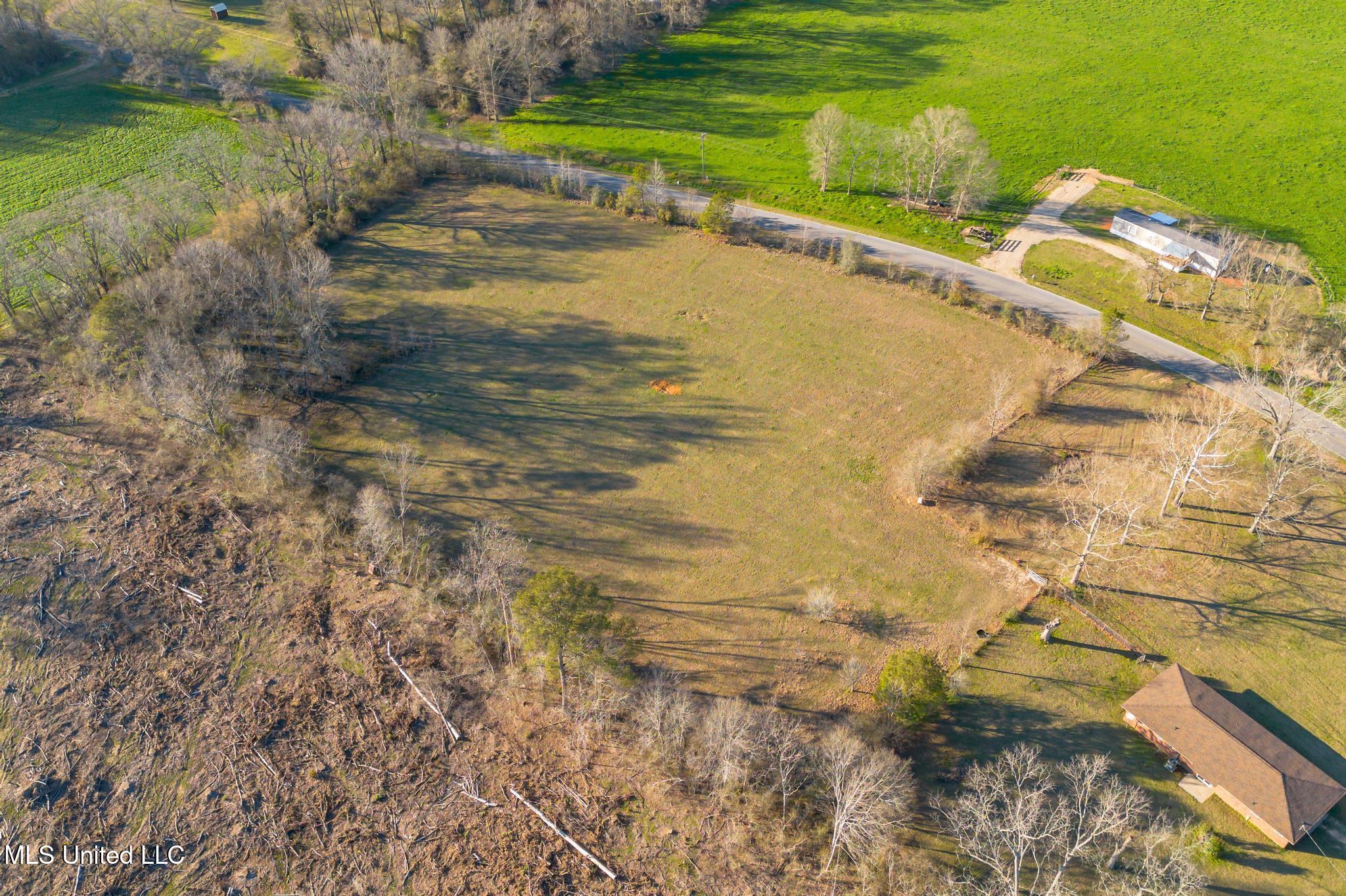 Seminary Mike Conner Road Collins, MS 39428 - Photo 6 of 11 1010 Seminary Mike Conner Road Land-6
