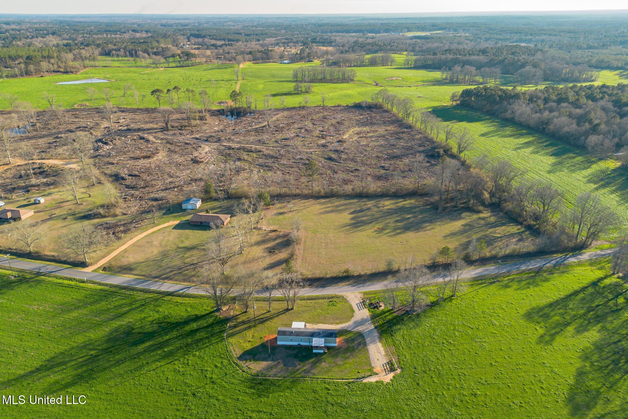 Seminary Mike Conner Road Collins, MS 39428 - Photo 10 of 11 1010 Seminary Mike Conner Road Land-10