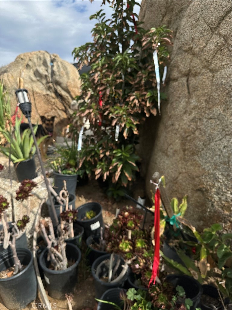 41720 Oak Canyon Road Hemet, CA 92544 - Photo 8 of 60