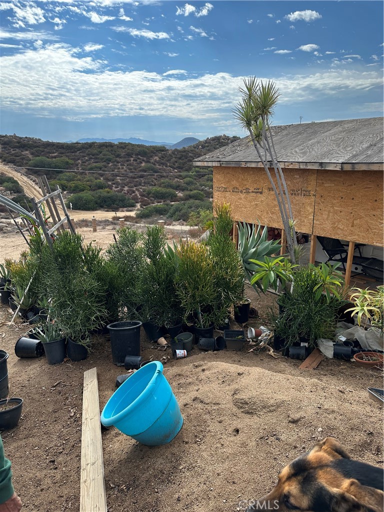 41720 Oak Canyon Road Hemet, CA 92544 - Photo 9 of 60 a view of a garden