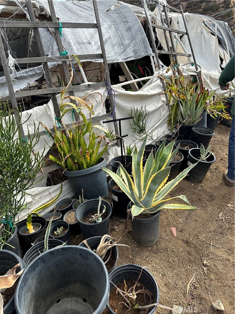 41720 Oak Canyon Road Hemet, CA 92544 - Photo 10 of 60 a vase of flowers sitting on a table