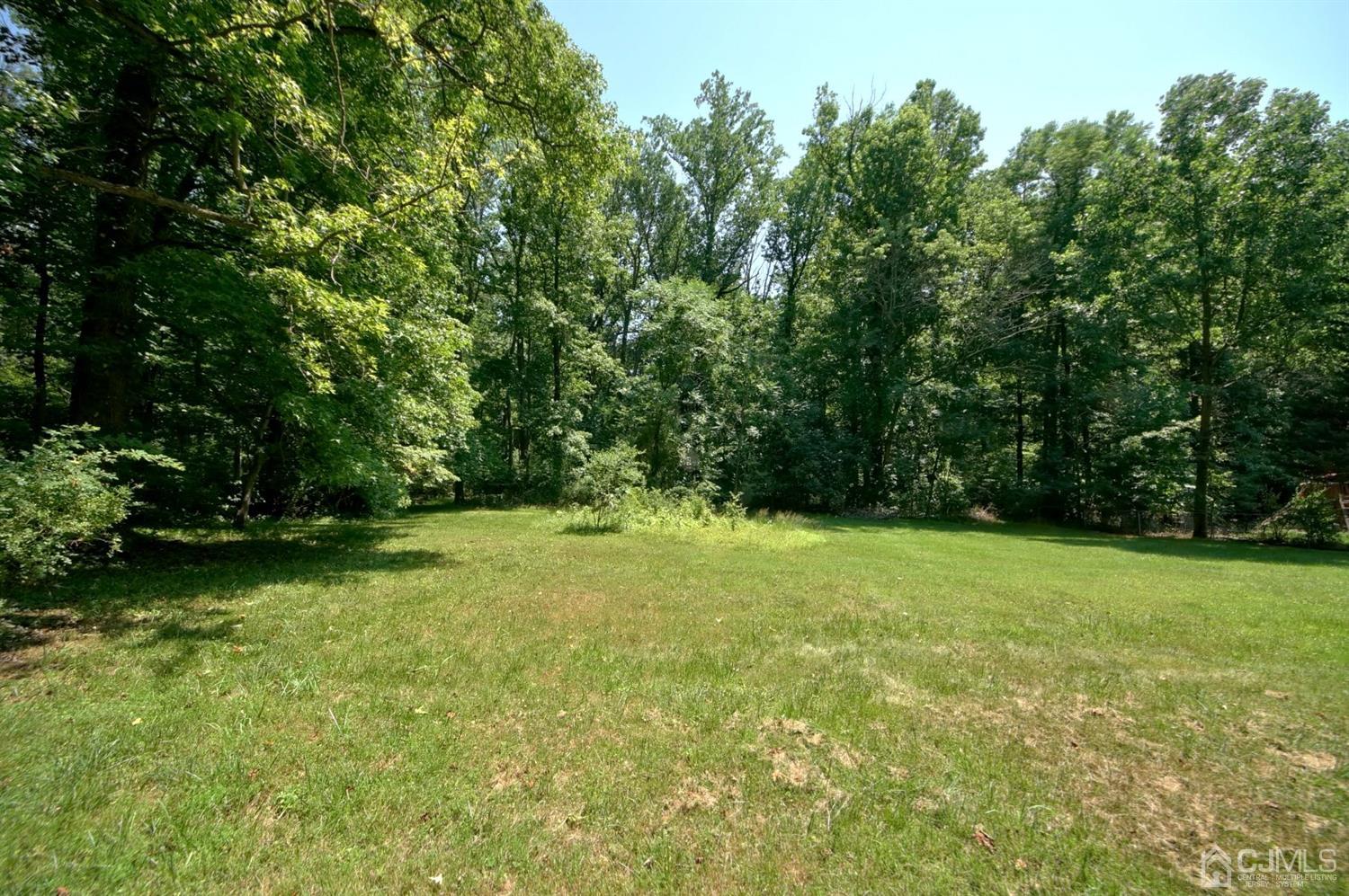 238 New Road Monmouth Junction, NJ 08852 - Photo 56 of 63 a view of a field with trees in the background