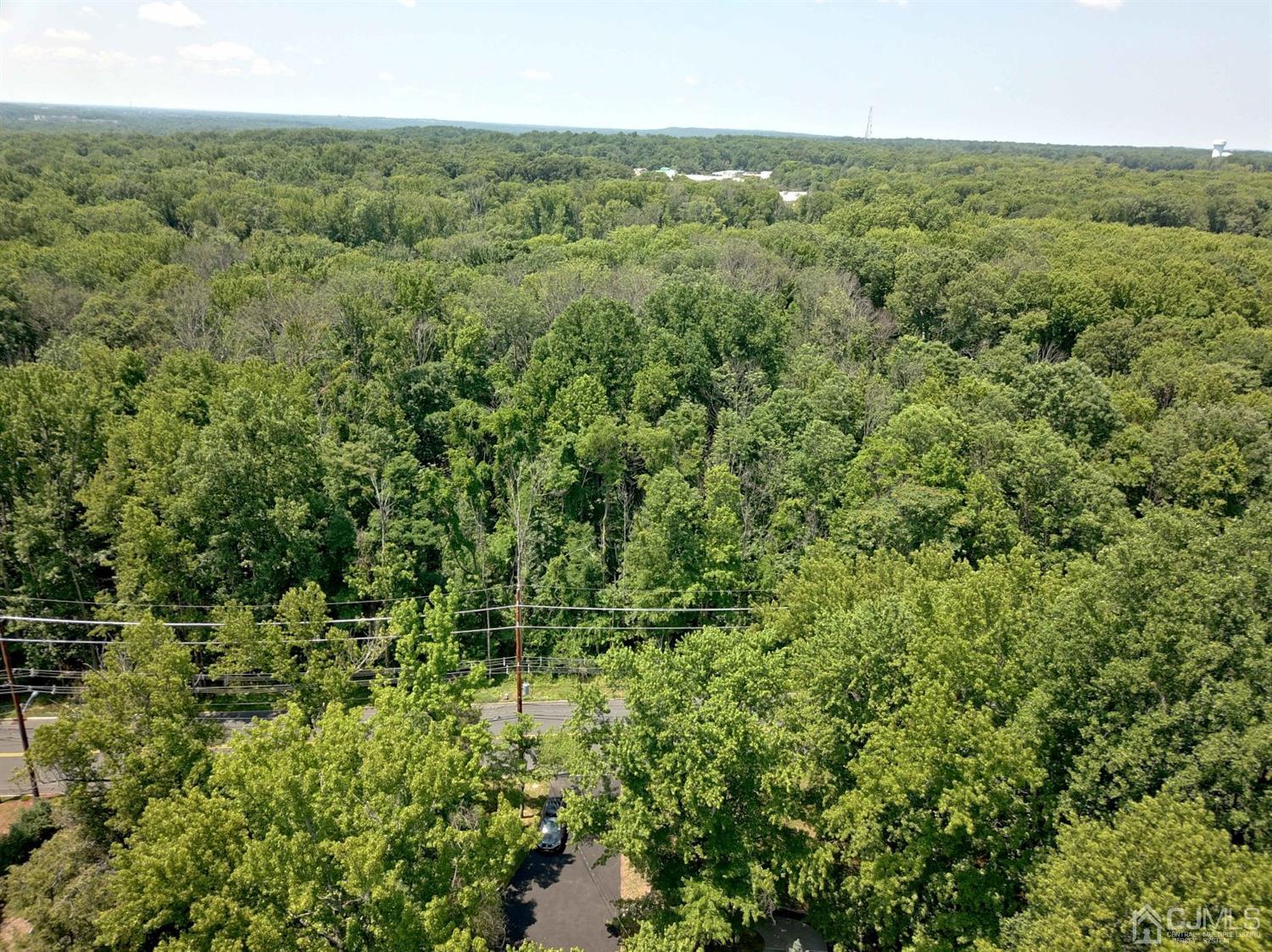238 New Road Monmouth Junction, NJ 08852 - Photo 63 of 63 a view of a field of grass and trees