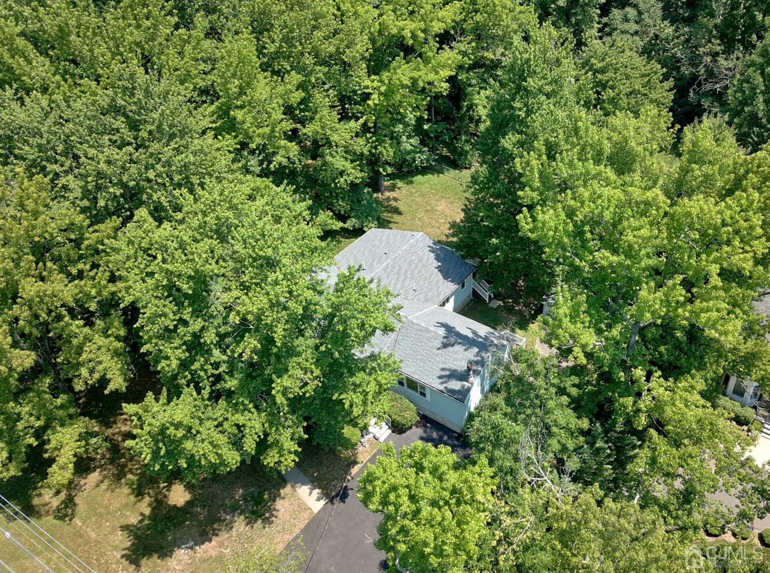 238 New Road Monmouth Junction, NJ 08852 - Photo 8 of 63 an aerial view of a house with a yard and covered with trees