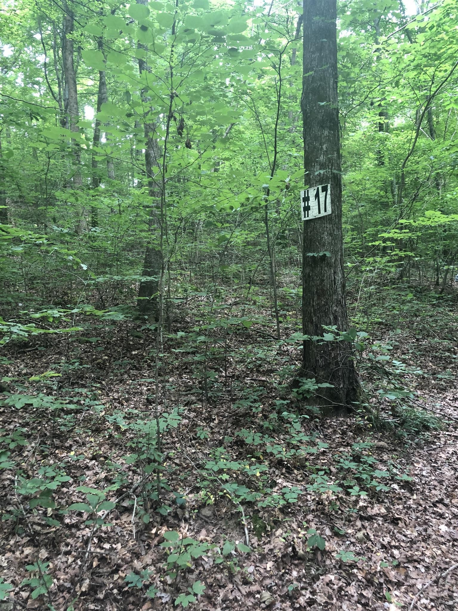 0 New Hope Road Hendersonville, TN 37075 - Photo 4 of 4 a view of a outdoor space