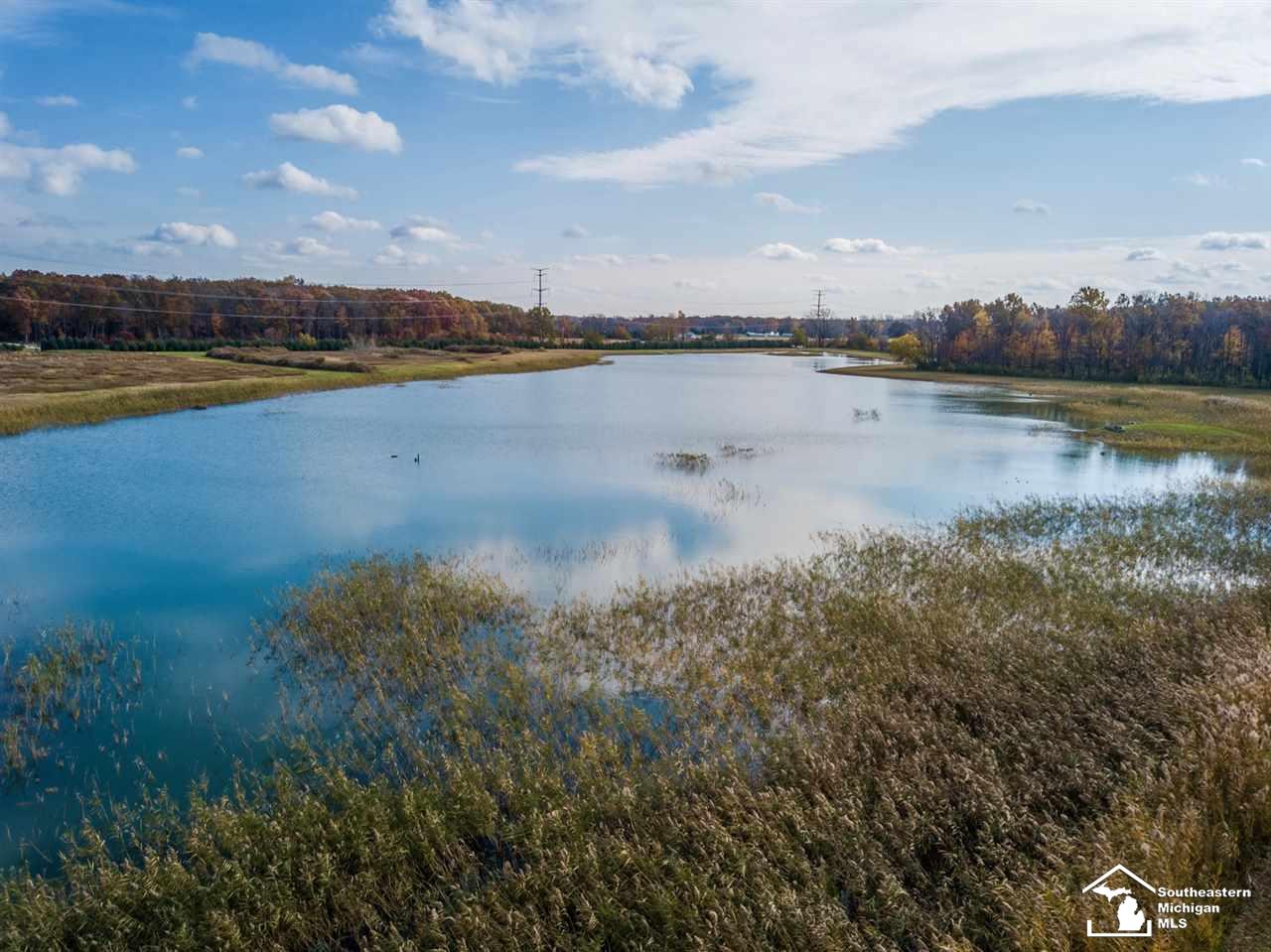 0 Meanwell Road Dundee, MI 48131 - Photo 5 of 19