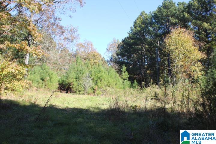 180 Springwater Lane Columbiana, AL 35051 - Photo 3 of 5