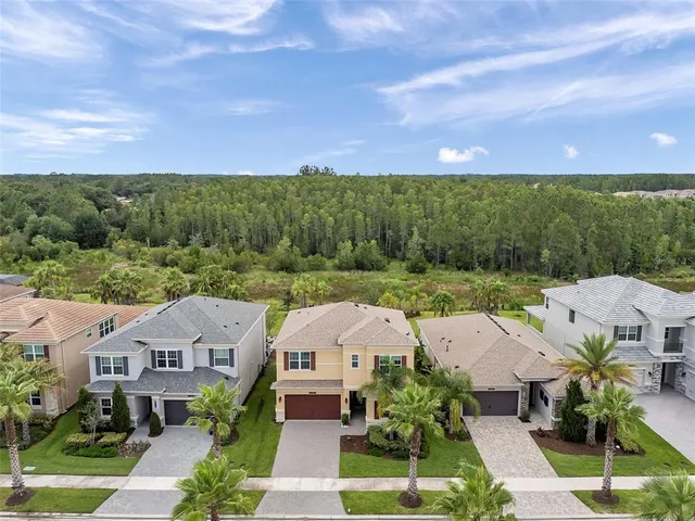 $4,490 | 32203 Mahogany Valley Drive, Wesley Chapel, FL 33543