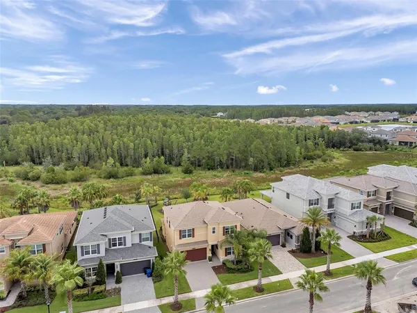 $4,490 | 32203 Mahogany Valley Drive, Wesley Chapel, FL 33543