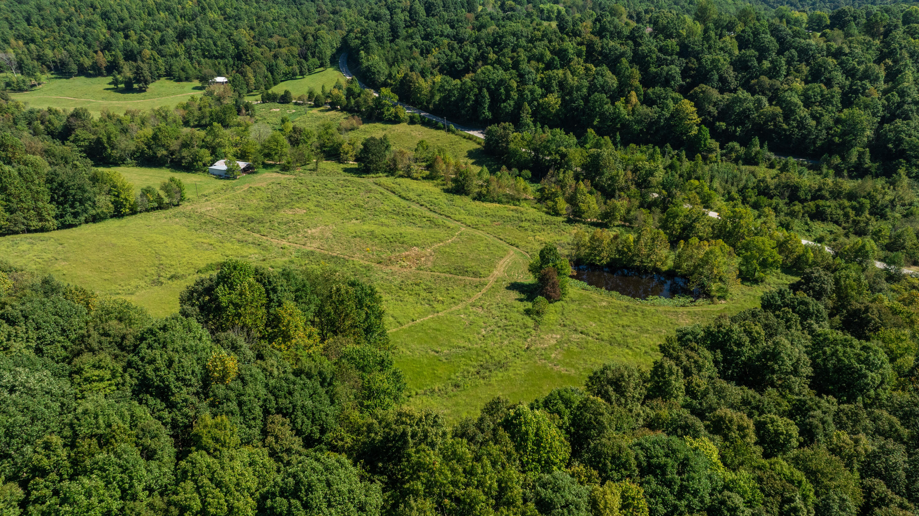 0 Hwy 206 / Ewing Ridge Road Dunnville, KY 42528 - Photo 22 of 23 Robertson-Holt Property (40 of 59)