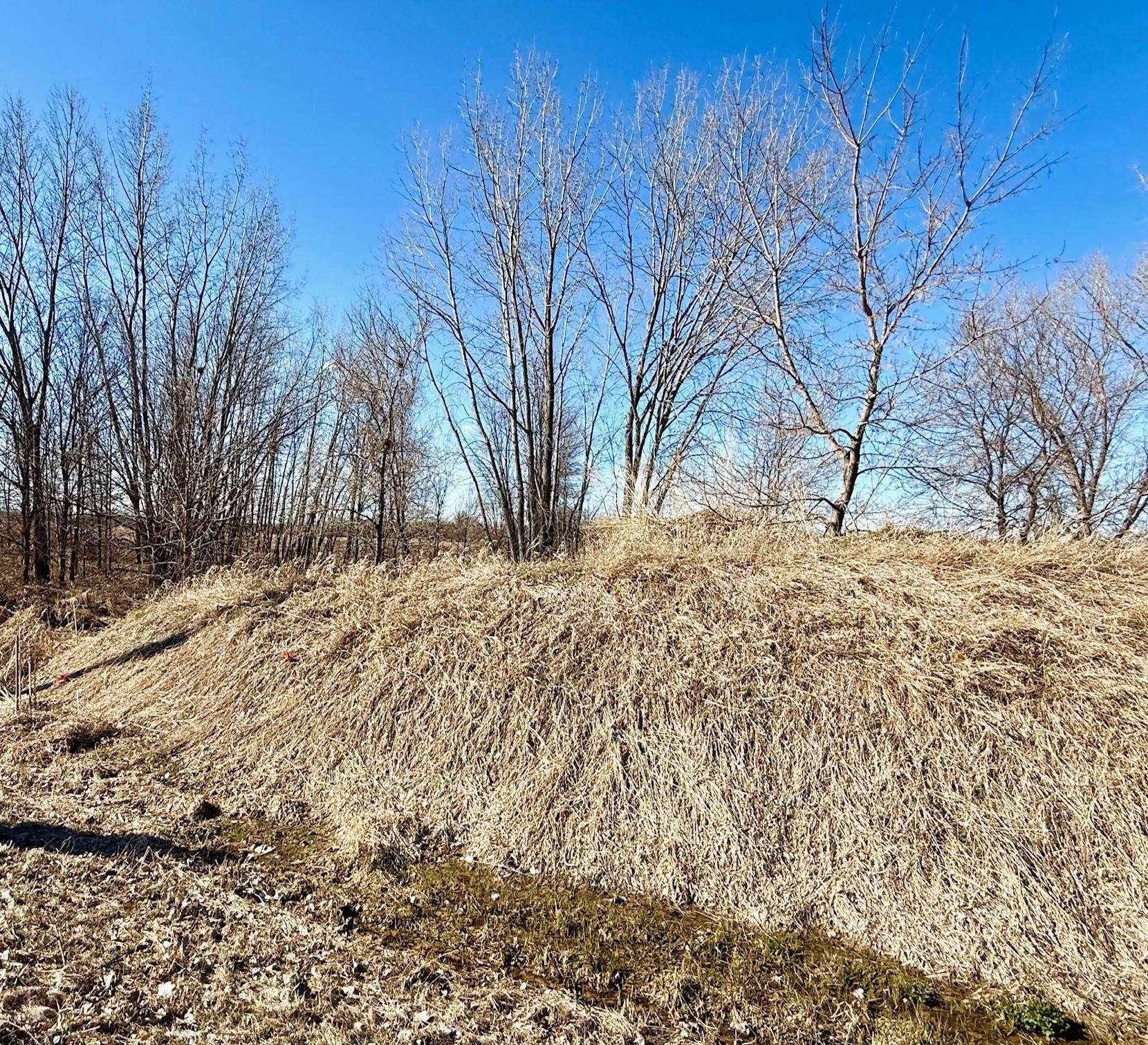 3869 VanLaanen Road Green Bay, WI 54311 - Photo 6 of 8