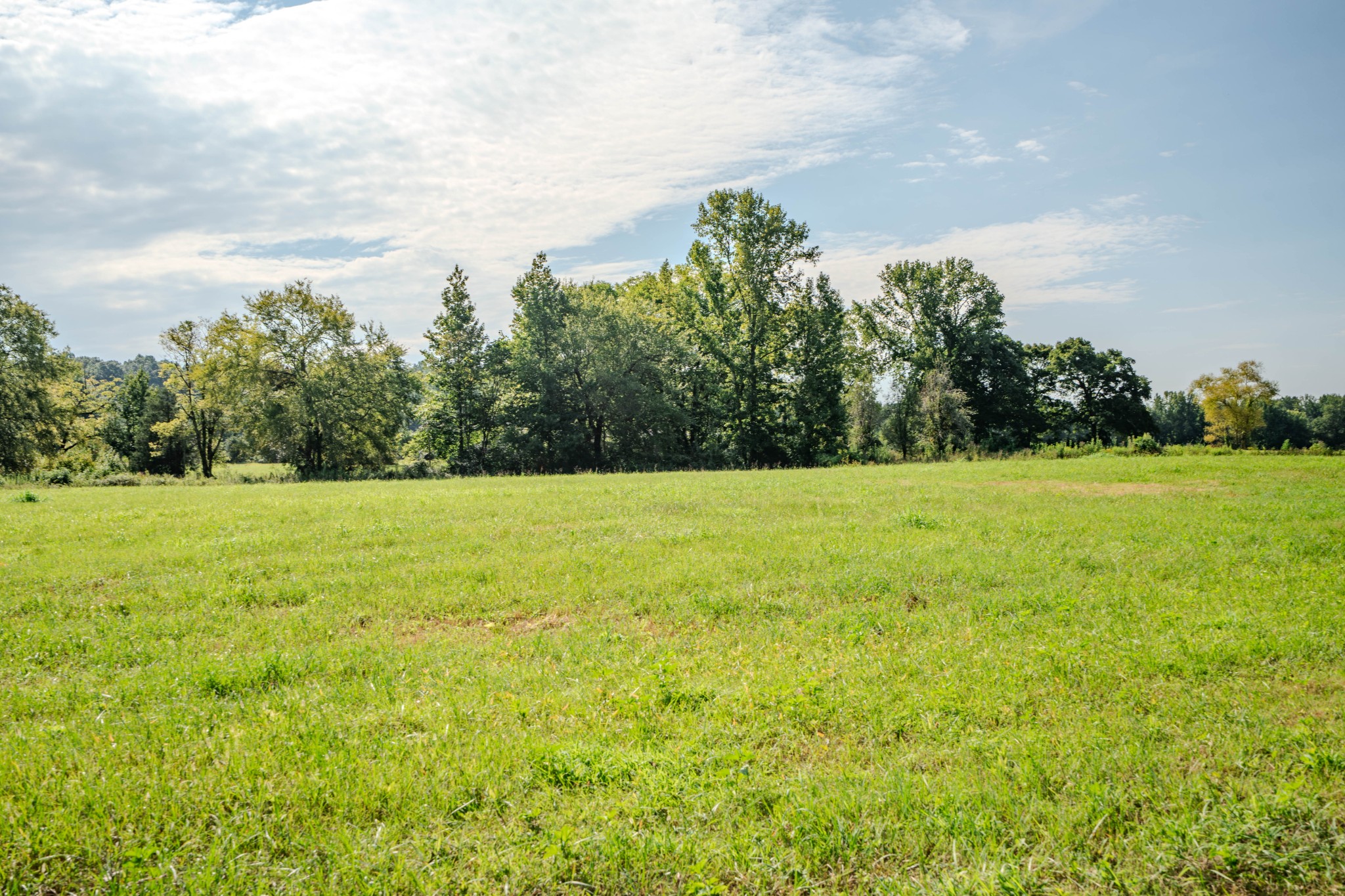 9270 Last Butler Creek Road Iron City, TN 38463 - Photo 64 of 86 Gallery Image 64