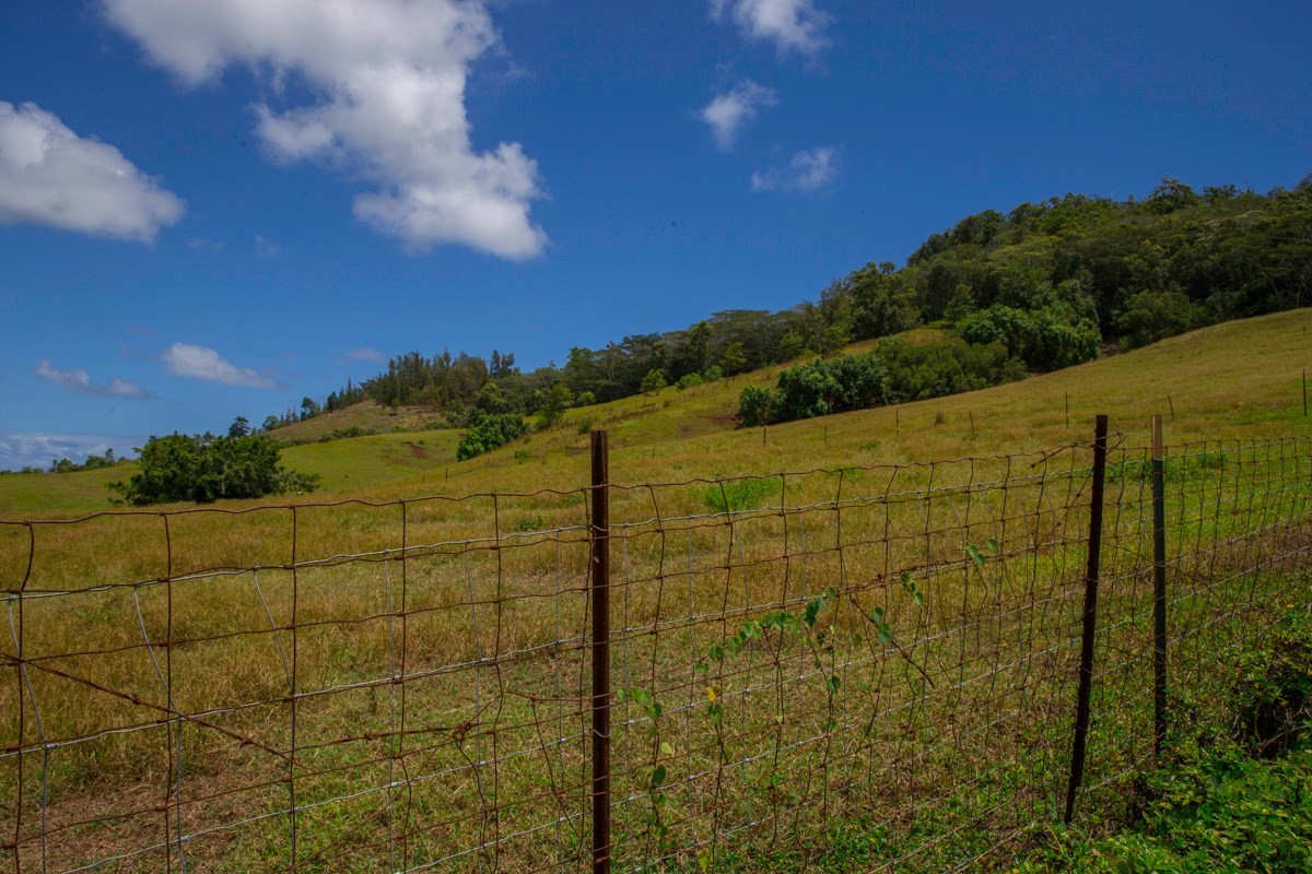 42 Lokelani Road Kapaa, HI 96746 - Photo 11 of 12 Gallery Image 11