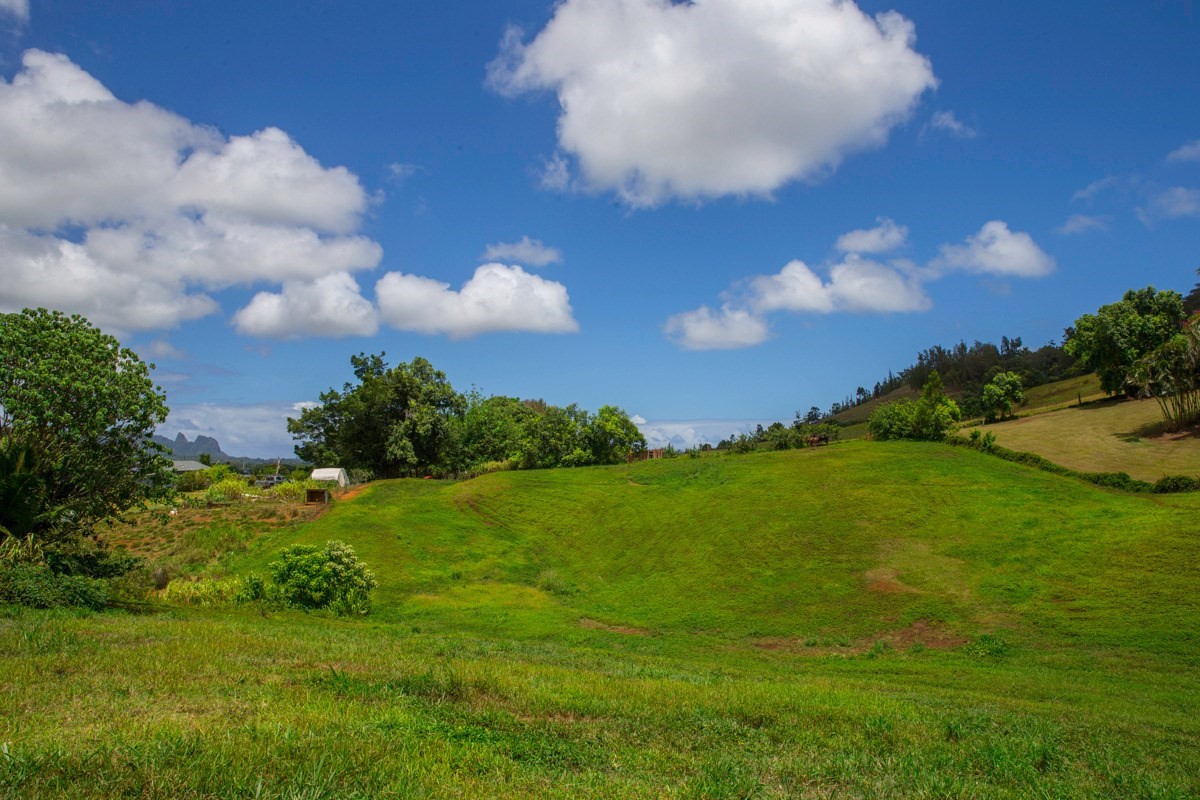 42 Lokelani Road Kapaa, HI 96746 - Photo 8 of 12 Gallery Image 8