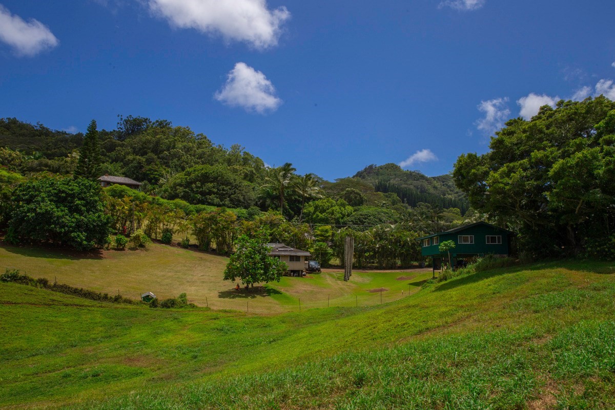 42 Lokelani Road Kapaa, HI 96746 - Photo 9 of 12 Gallery Image 9