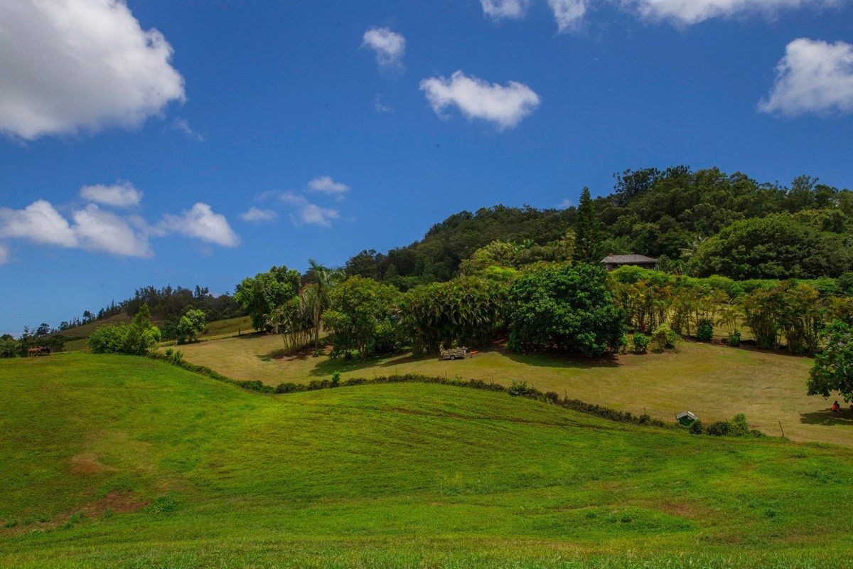 42 Lokelani Road Kapaa, HI 96746 - Photo 10 of 12 Gallery Image 10