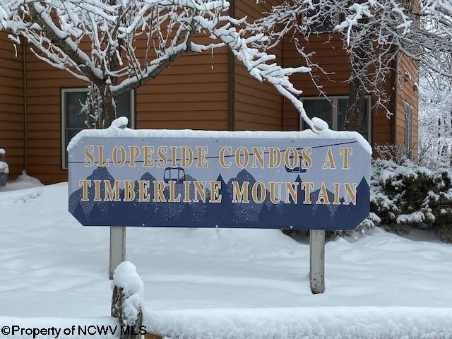 29 Herzwoods Road Davis, WV 26260 - Photo 11 of 11 Gallery Image 11