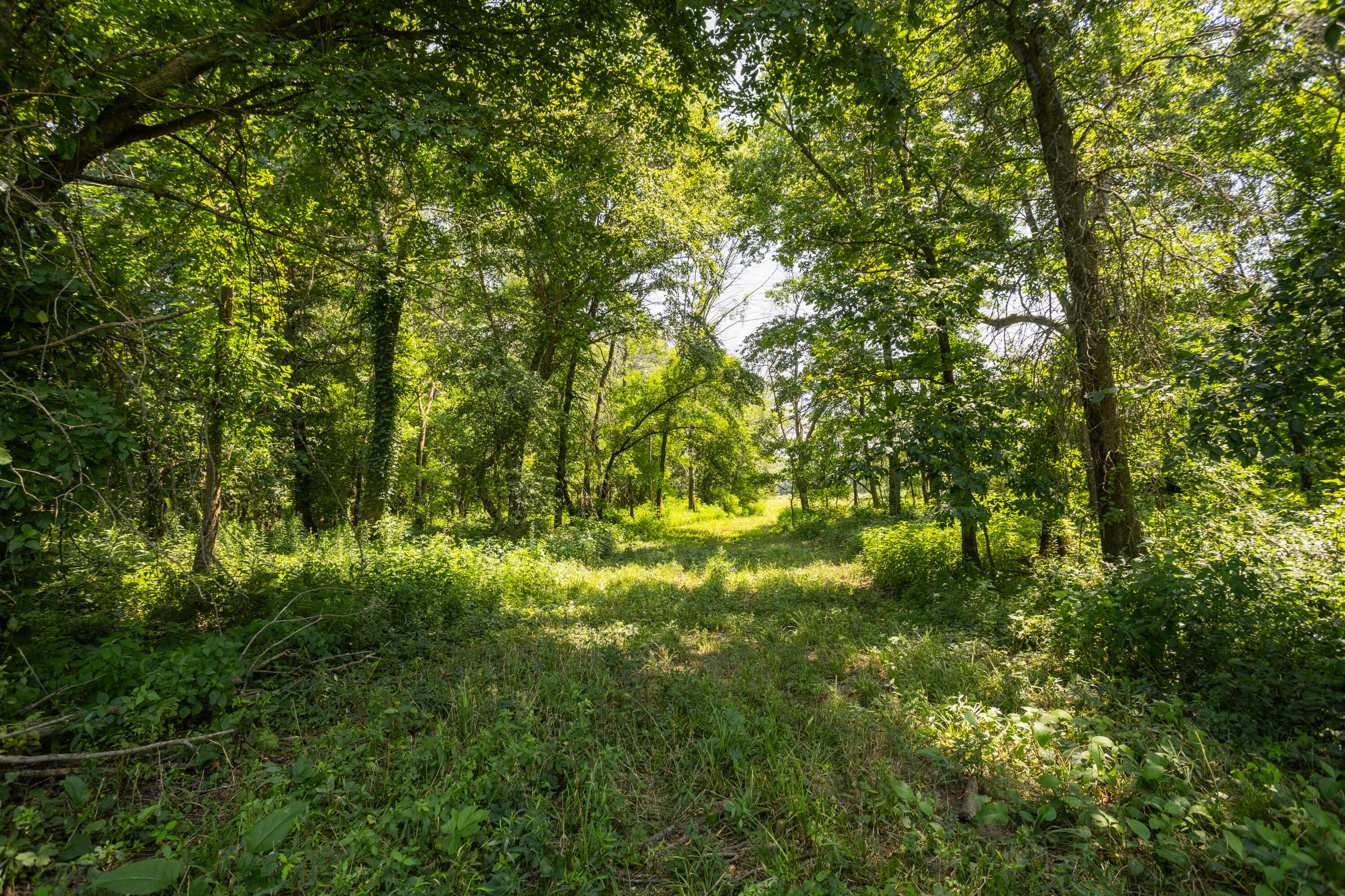 1059 Northeast 100th Road Lamar, MO 64759 - Photo 103 of 119 Barton290(MLSRES)-33