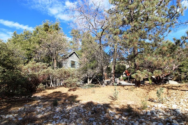 24601 Bluff Road Idyllwild, CA 92549 - Photo 2 of 24 a view of a yard covered in snow
