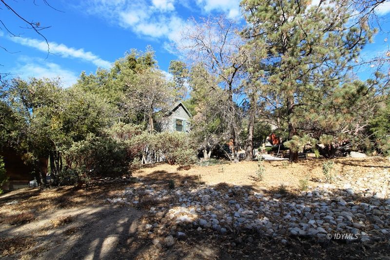 24601 Bluff Road Idyllwild, CA 92549 - Photo 23 of 24 a view of snow on the side of a road
