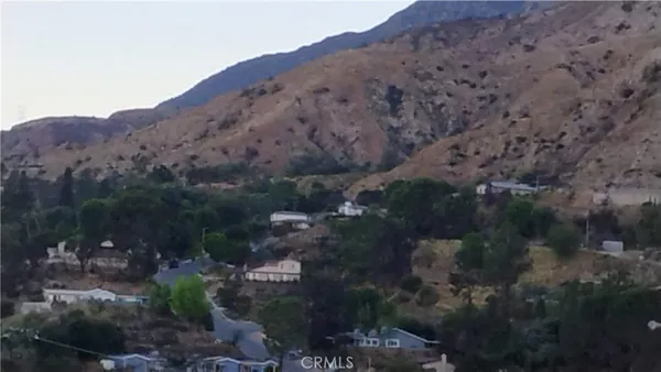 a view of a lot of trees