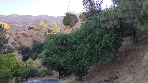 an aerial view of mountain and trees