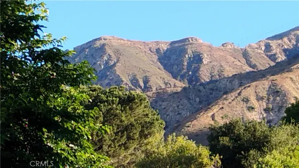 a view of a backyard with plants
