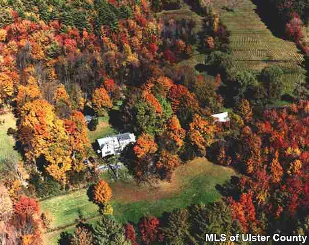 101 Oakley Stone Ridge, NY 12484 - Photo 4 of 4 a view of a tree
